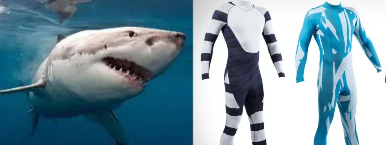 Shark Proof Wetsuits